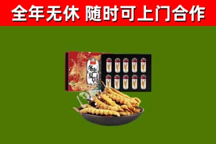 海曙回收冬虫夏草价格